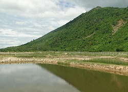 Hoa Son Fingerling Farm